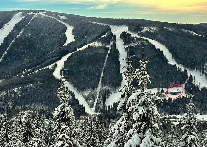 U Hromovky Appartement